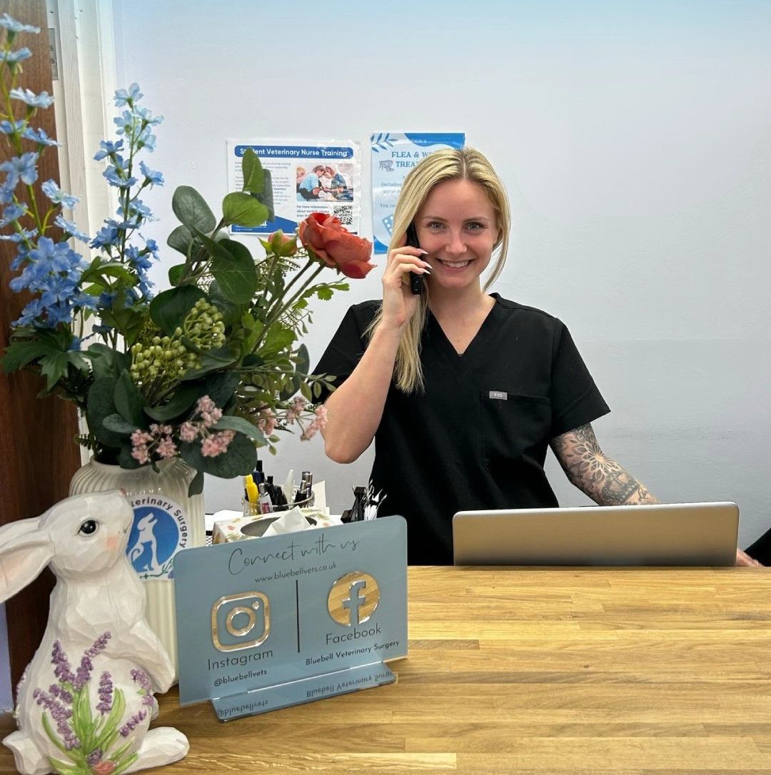 Reception Desk Crystal Bluebell Veterinary Surgery