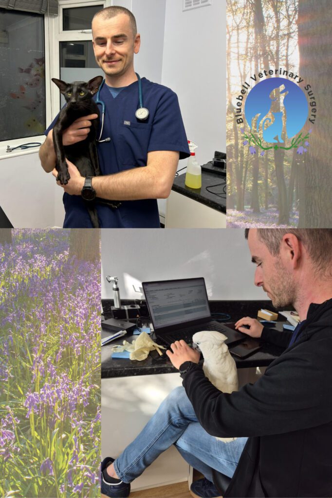 576973763 122230919114057232 3571792071813863834 n